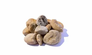 بازرسی اشعه ایکس برای کنترل کیفیت محصول